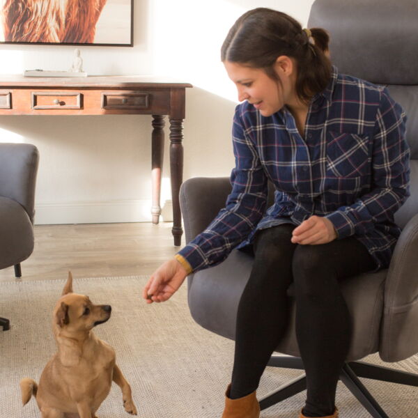 Dog-assisted therapy